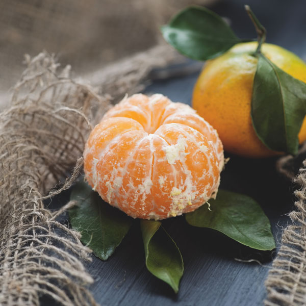 Smakguiden - hitta nya smaker att kombinera mandarin med!